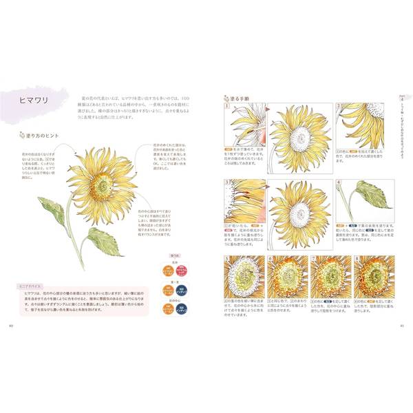 塗り絵でまなぶ　花の水彩イラスト　一輪の花からブーケ、リースまで