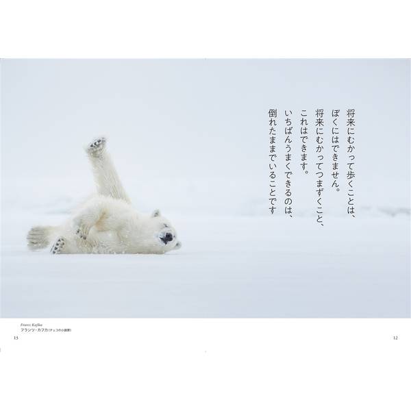 わたしに響くうつくしい風景と希望のことば