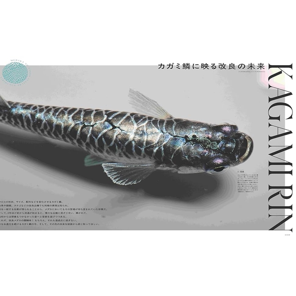 メダカの学校 2026 SPRING