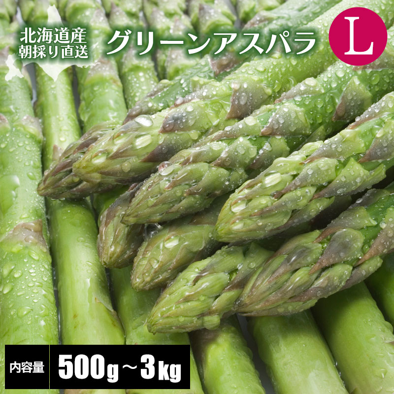 【2026年度収穫 予約】 北海道産 グリーンアスパラガス Ｌサイズ 500g/600g/800g/1kg/1.5kg/2kg/2.5kg/3kg 北海道 アスパラガス 産地直送 産直 春 旬 北海道 アスパラ 露地