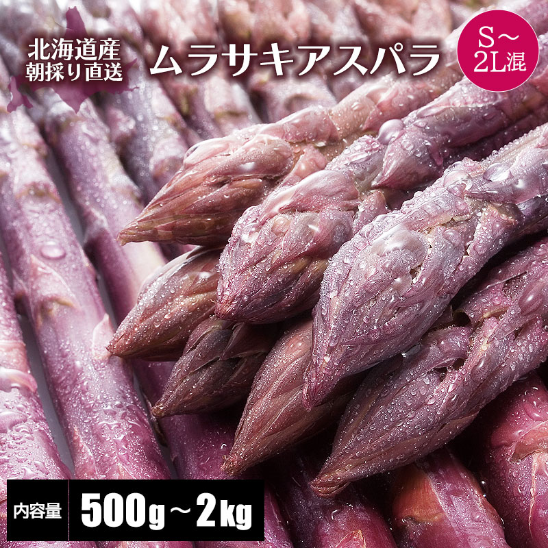 【2026年度収穫 予約】 北海道産 紫アスパラガス Ｓ〜2Ｌ混  500g/600g/800g/1kg/1.5kg/2kg 北海道 紫アスパラガス 希少な紫アスパラ 産地直送 産直 春 旬 北海道 紫 アスパラ アスパラガス 露地