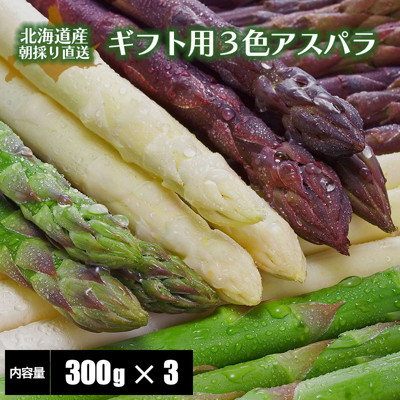 ゆうじん.Ltd北海道産 アスパラガス 苗 株 ポールトム／10株セット ゆうじん.Ltd北海道産 アスパラガス 苗 株 ポールトム／10株セット