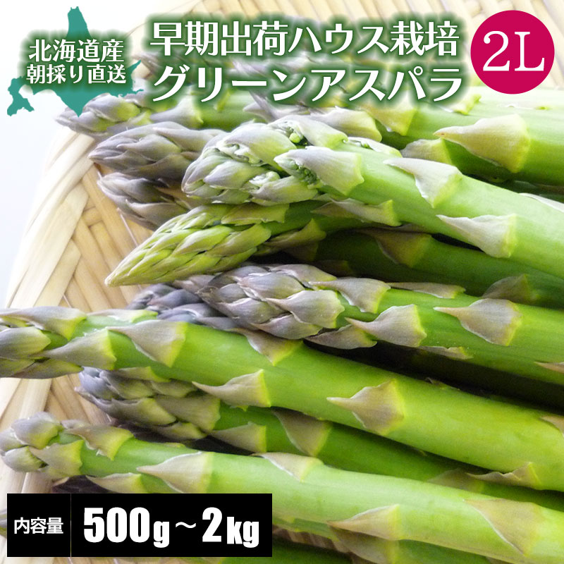 【2026年度収穫 予約】 早出しグリーンアスパラガス ２Ｌサイズ  500g/600g/800g/1kg/1.5kg/2kg ハウス栽培  産地直送 産直 春 旬 北海道 アスパラ アスパラガス