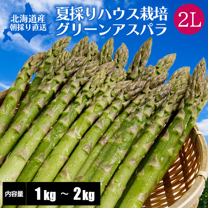 夏採りアスパラ