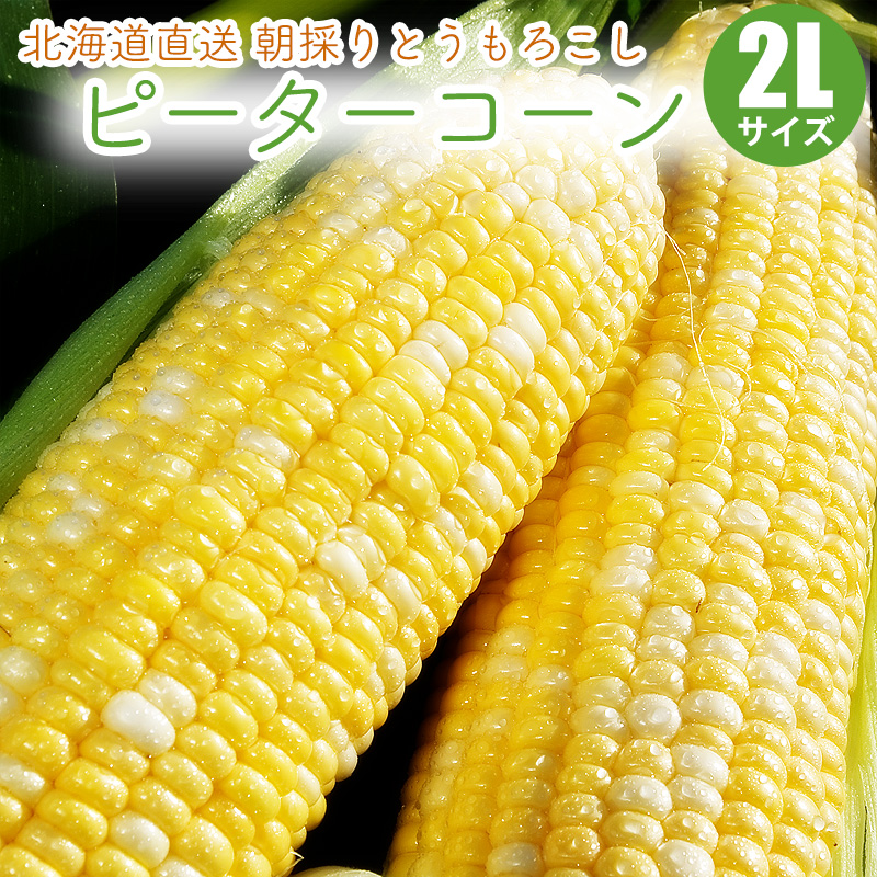 ピーターコーン