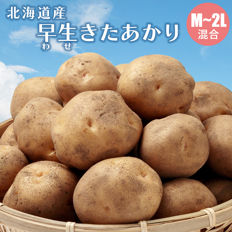 早生きたあかり