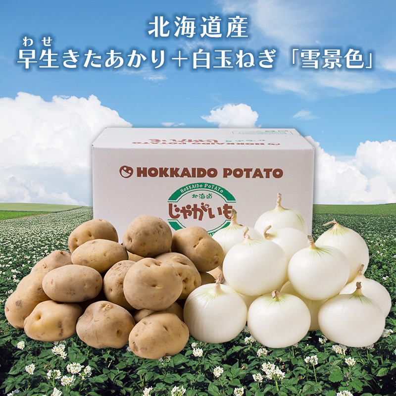 早生きたあかり+白玉ねぎ じゃが玉セット