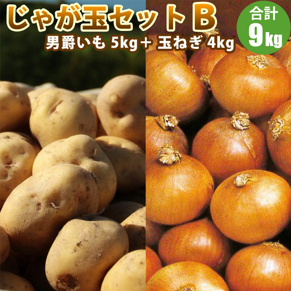 Naturalfarming もち麦 小麦 ジャガイモ タマネギ Tips for 〇〇 right after harvest!! Process to prevent decay