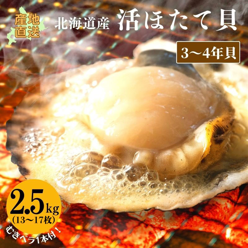 活ホタテ(3～4年貝)2.5kg(13～17枚)【冷蔵】 ほたて 帆立