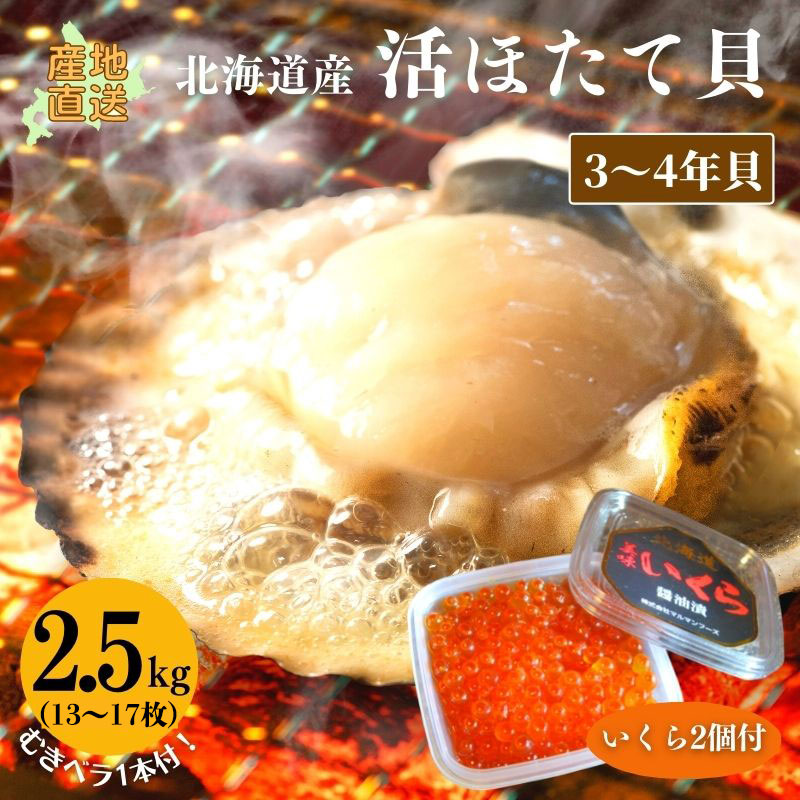 活ホタテ(3〜4年貝)2.5kg(13〜17枚)【冷蔵】いくら100g2個付 ほたて 帆立