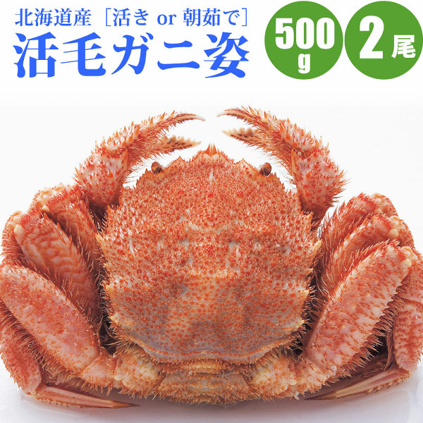 活毛ガニ