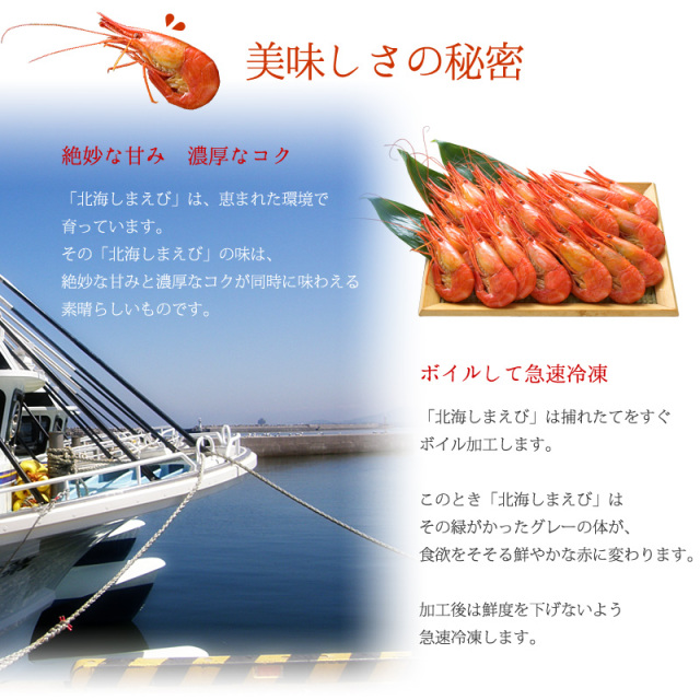 北海しまえび