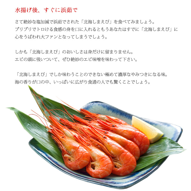 北海しまえび