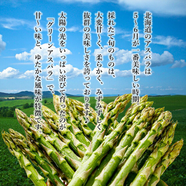 グリーンアスパラガスMサイズ