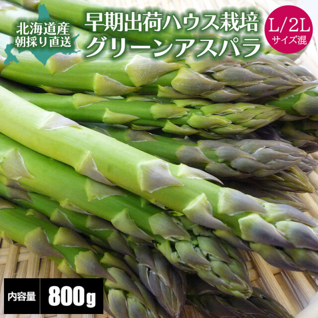 早期出荷アスパラガス