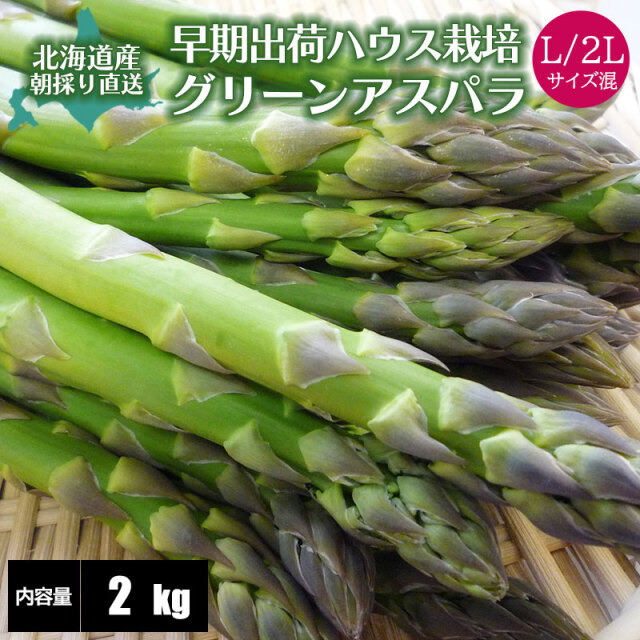 早出しアスパラ グリーンアスパラガス L/2L混 旬 送料無料