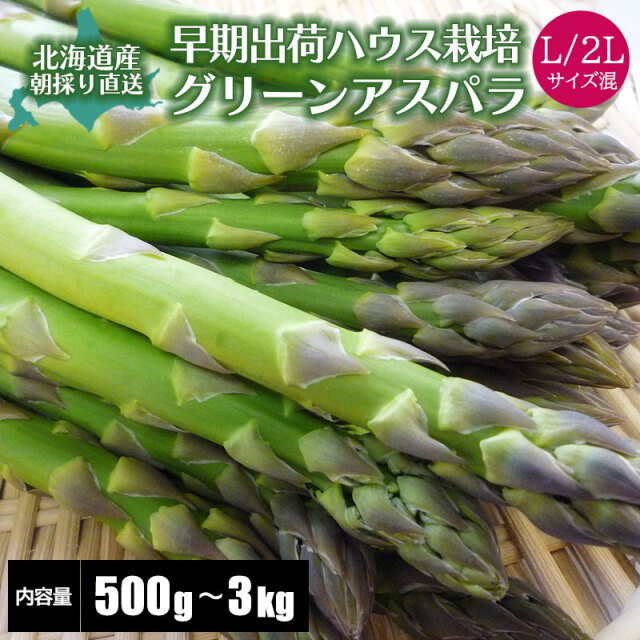 早出しアスパラ グリーンアスパラガス L/2L混 旬 送料無料
