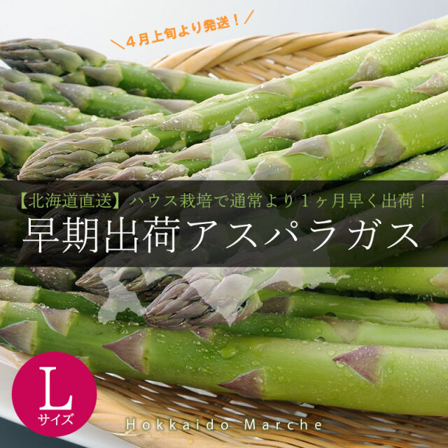 早期出荷アスパラガス