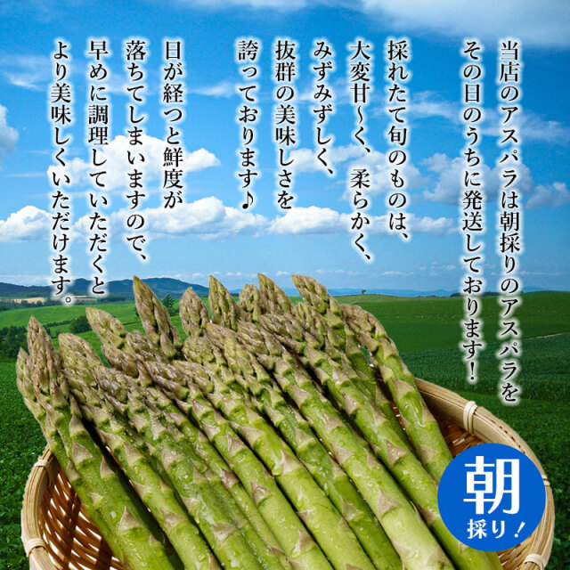 早期出荷アスパラガス