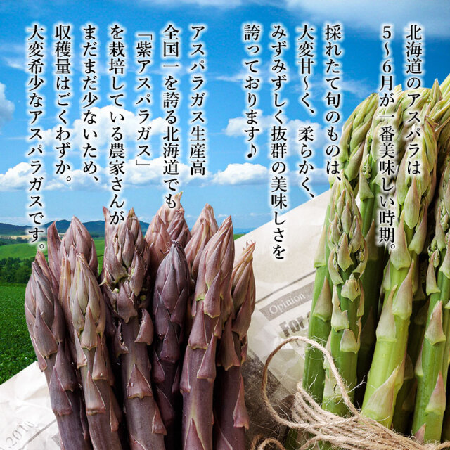 ムラサキアスパラガス