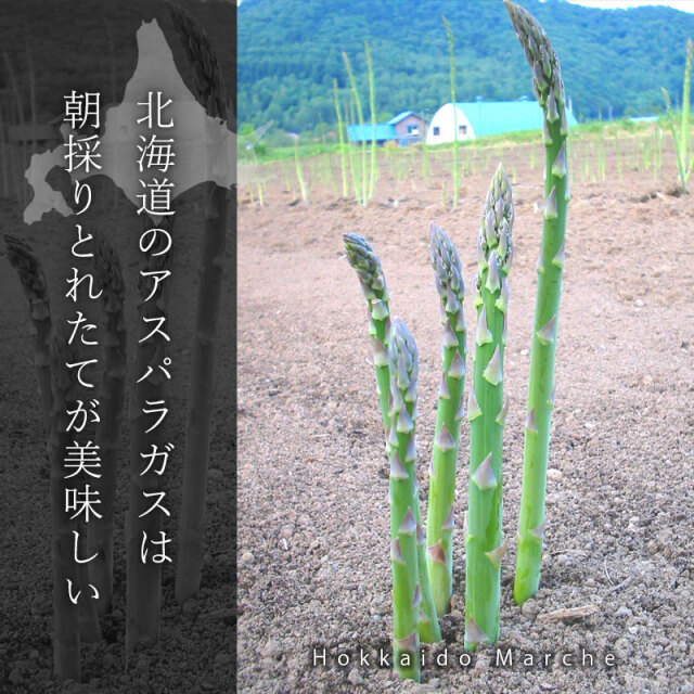アスパラガス
