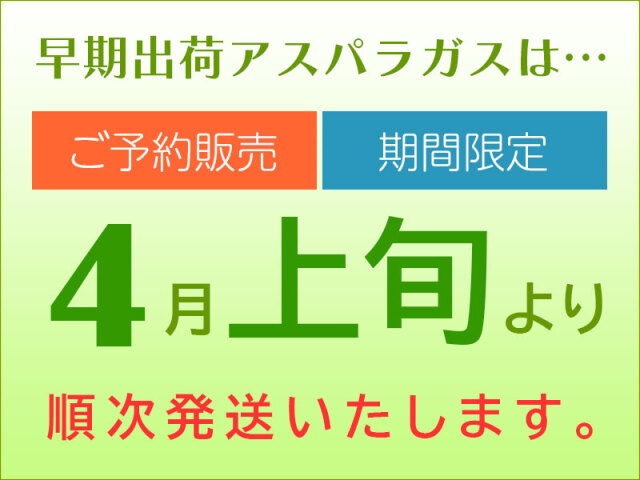 早期出荷アスパラガス