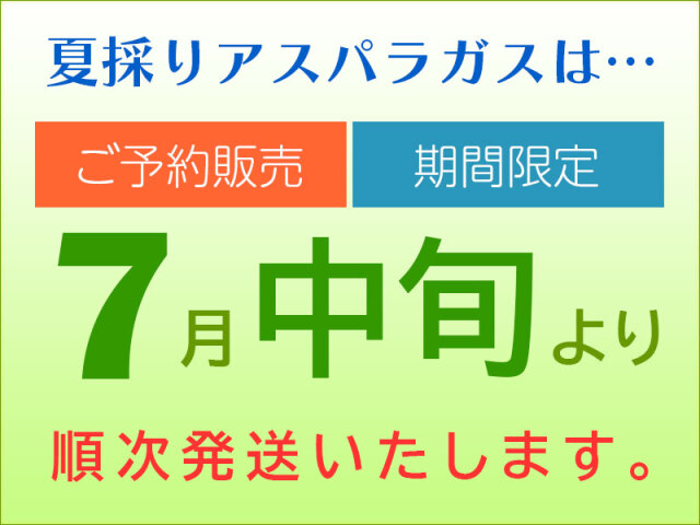 夏採りアスパラ7月中旬