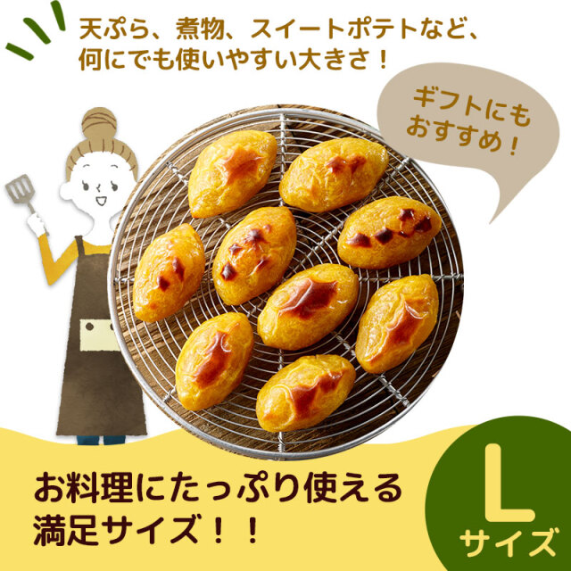 ぐり茶の五十鈴園様1500本4月上旬早め発送分茨城県産紅はるかさつまいも苗ウイル 茨城県旭村産「紅はるか」5kg さつまいも