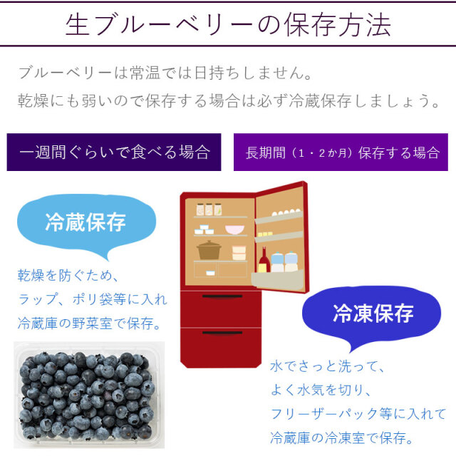 ブルーベリー