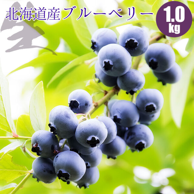 北海道産】生ブルーベリー 1kg