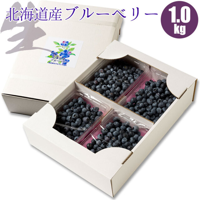 北海道産】生ブルーベリー 1kg