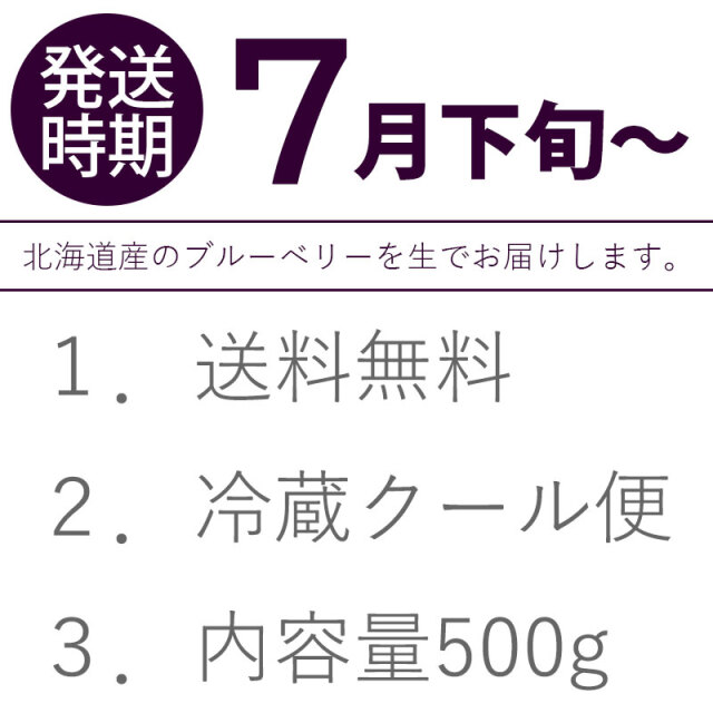 ブルーベリー