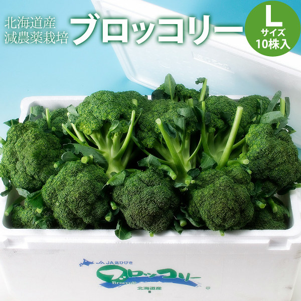 インカのめざめ 超小粒 SSサイズ 北海道産