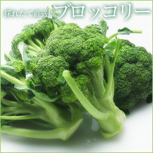 ブロッコリー