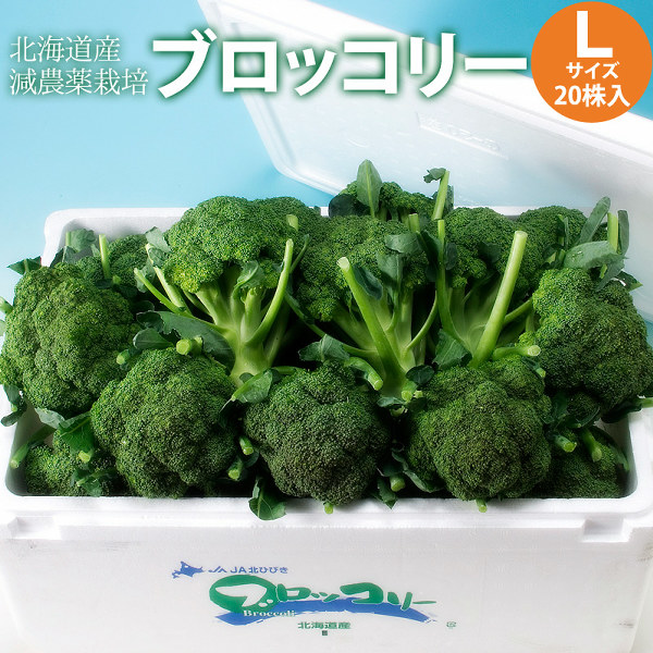 ブロッコリー 北海道