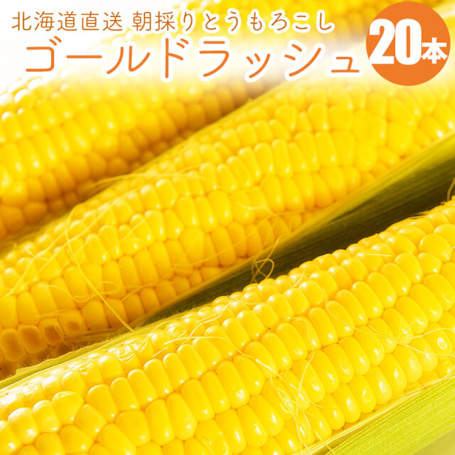 ゴールドラッシュ とうもろこし ギフト