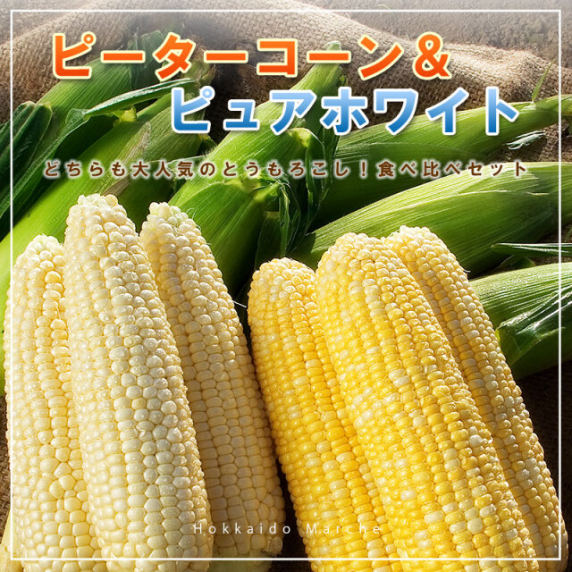 ピュアホワイト×ピーターコーン