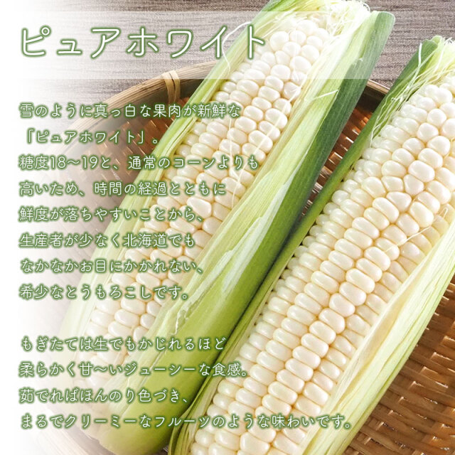 ピュアホワイト×ピーターコーン