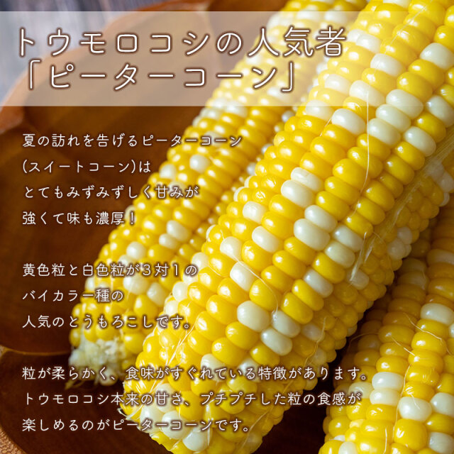 ピュアホワイト×ピーターコーン