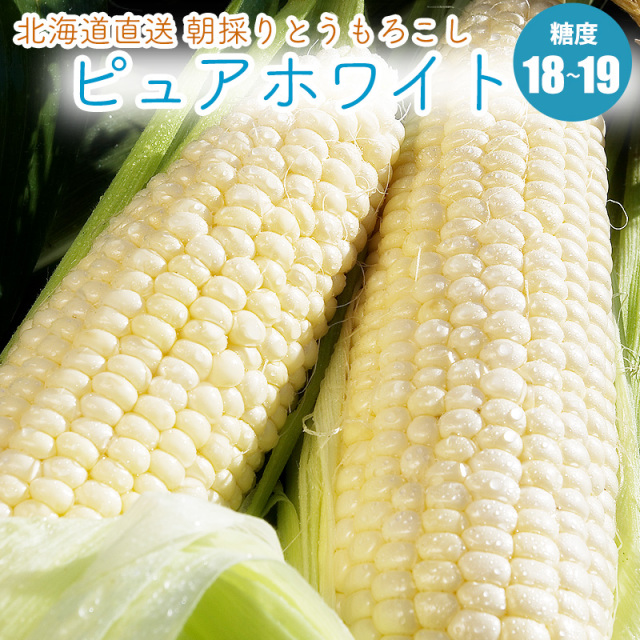 とうもろこし ピュアホワイト お取り寄せ