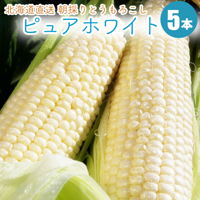 とうもろこし ピュアホワイト お取り寄せ