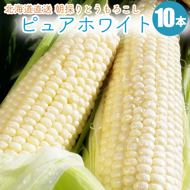 とうもろこし ピュアホワイト お取り寄せ
