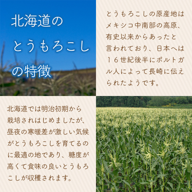 北海道直送とうもろこし食べ比べセット