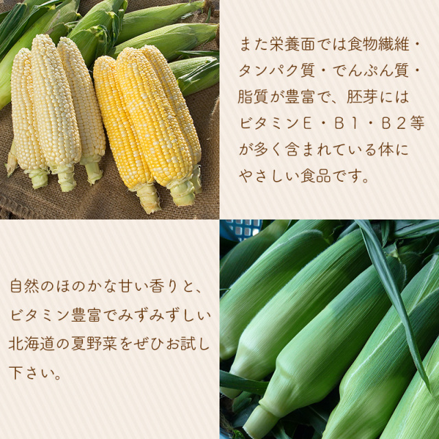 北海道直送とうもろこし