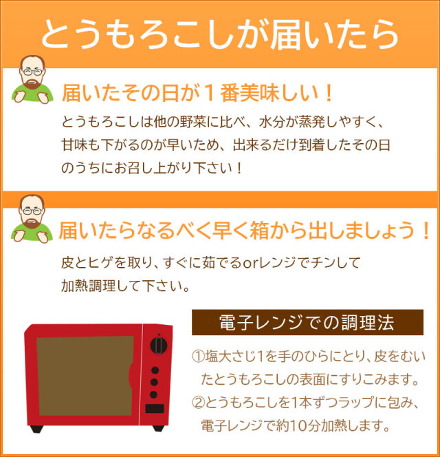 北海道直送とうもろこし