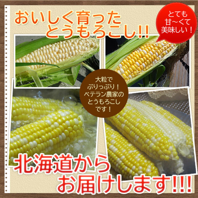 北海道直送とうもろこし