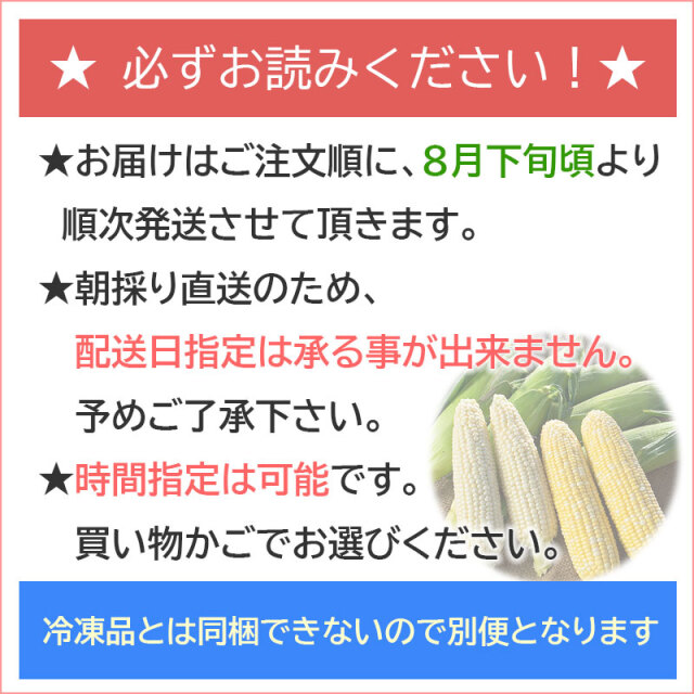 北海道直送とうもろこし