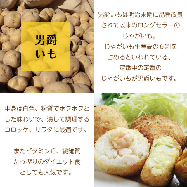 男爵いも説明01