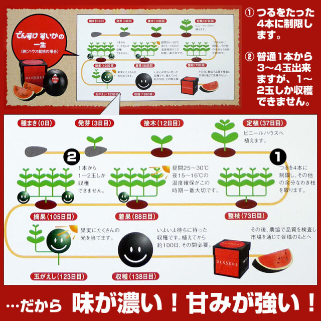 でんすけすいか