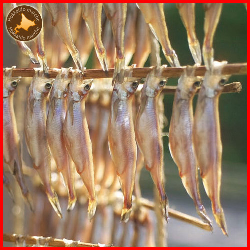 ししゃも/一夜干し